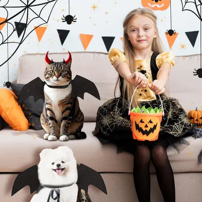 PetTribes Ailes chauve-souris pour chat - Déguisement Halloween & cosplay PetTribes Ailes chauve-souris pour chat - Déguisement Halloween & cosplay