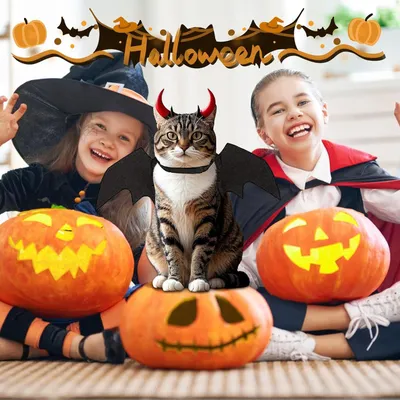 PetTribes Ailes chauve-souris pour chat - Déguisement Halloween & cosplay PetTribes Ailes chauve-souris pour chat - Déguisement Halloween & cosplay