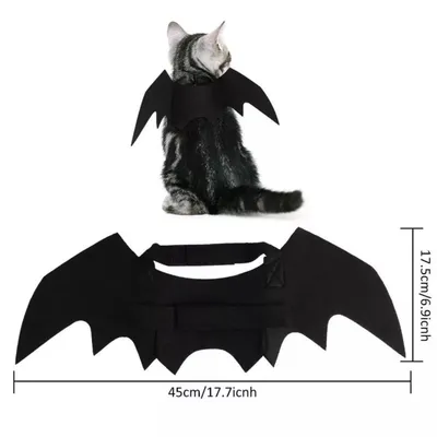 PetTribes Ailes chauve-souris pour chat - Déguisement Halloween & cosplay PetTribes Ailes chauve-souris pour chat - Déguisement Halloween & cosplay
