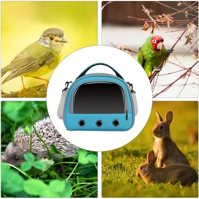 PetTribes Cage de voyage portable et pliable pour oiseaux, hamster, pigeon