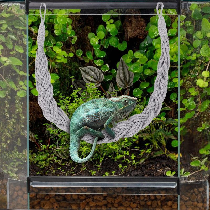 PetTribes Jouets en vigne pour reptiles - Naturels & sûrs