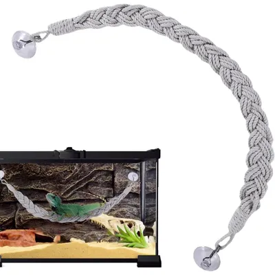 PetTribes Jouets en vigne pour reptiles - Naturels & sûrs