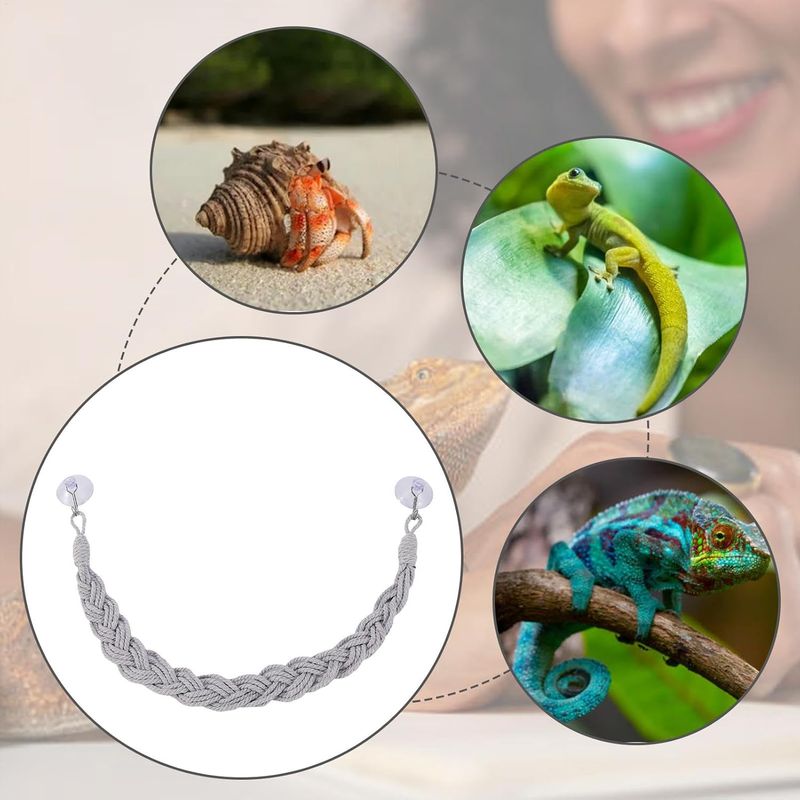 PetTribes Jouets en vigne pour reptiles - Naturels & sûrs
