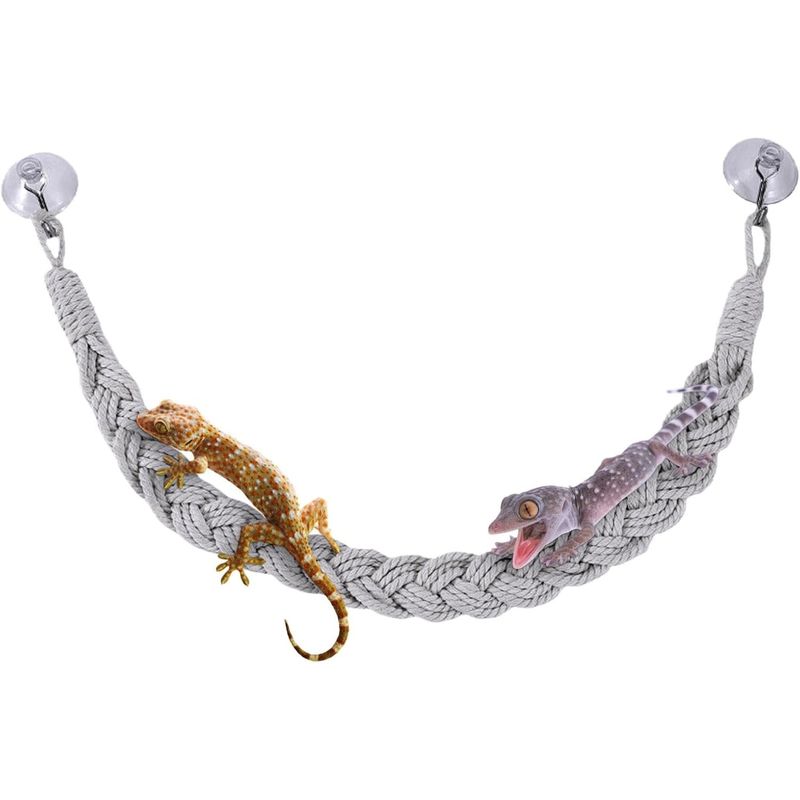 PetTribes Jouets en vigne pour reptiles - Naturels & sûrs