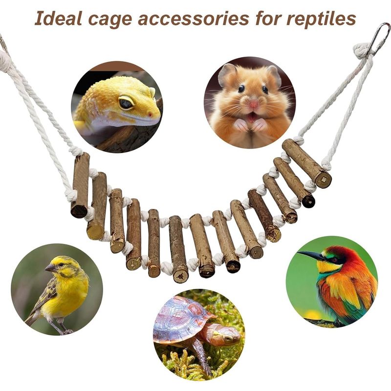 PetTribes Pont & échelle lézard - Bois naturel + corde