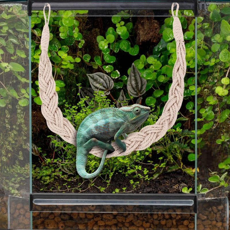 PetTribes Jouets en vigne pour reptiles - Naturels & sûrs