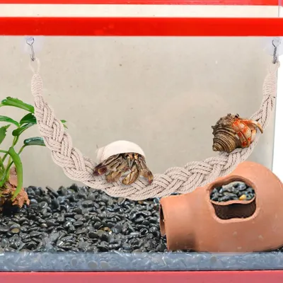 PetTribes Jouets en vigne pour reptiles - Naturels & sûrs