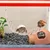 PetTribes Jouets en vigne pour reptiles - Naturels & sûrs