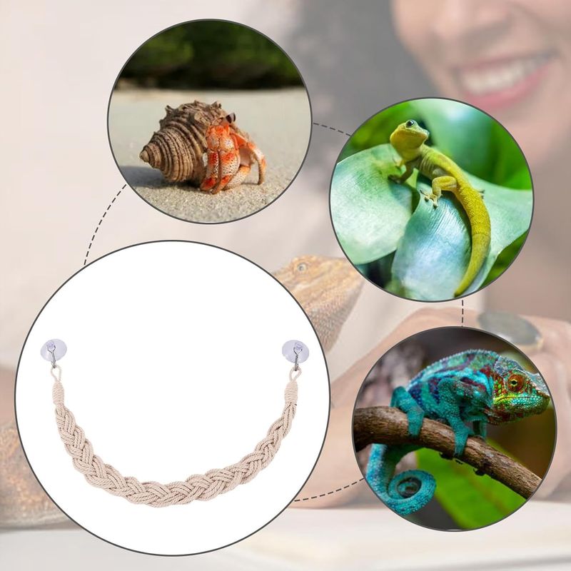PetTribes Jouets en vigne pour reptiles - Naturels & sûrs