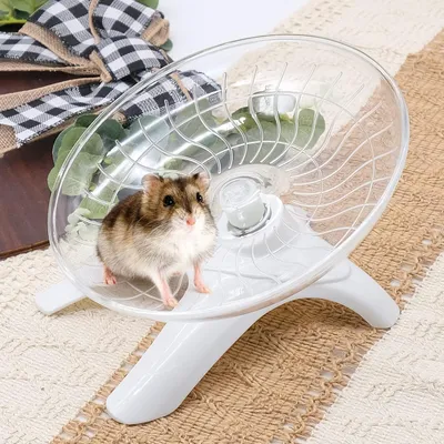 PetTribes Roue silencieuse pour hamster - Exercice nuit/jour, bébé & adulte