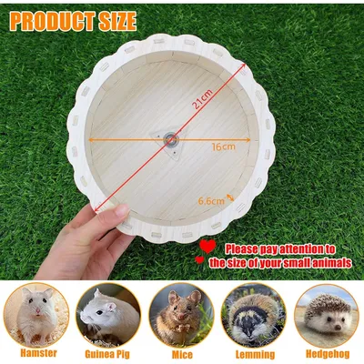 PetTribes Roue de Course Silencieuse 21cm - Pour Hamster et Petits Rongeurs