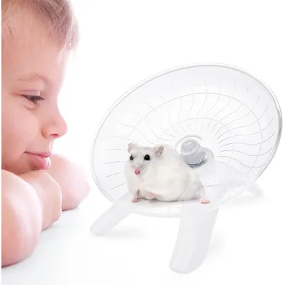 PetTribes Roue silencieuse pour hamster - Exercice nuit/jour, bébé & adulte