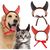 PetTribes Costume d'Halloween Diable pour Chien et Chat - Cornes Réglables