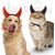 PetTribes Costume d'Halloween Diable pour Chien et Chat - Cornes Réglables