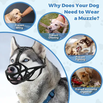 PetTribes Muselière Respirante Grand Chien - Confortable