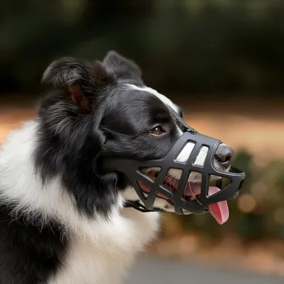 PetTribes Muselière Respirante Grand Chien - Confortable