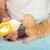 PetTribes Biberons silicone pour chiots & animaux - Pratique & sûr
