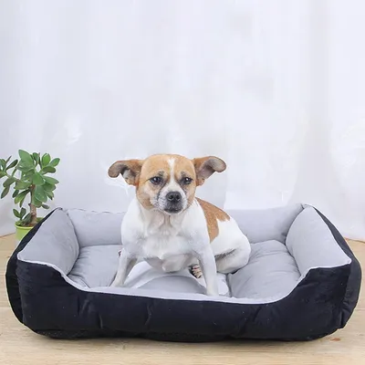 PetTribes Lit orthopédique pour chien - antidérapant & lavable - Noir L PetTribes Lit orthopédique pour chien - antidérapant & lavable - Noir L