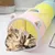 PetTribes Tunnel Interactif Plisable pour Chat Résistant