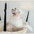 IntiMeg Hamac pour chat réglable