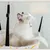 IntiMeg Hamac pour chat réglable
