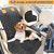 IntiMeg Housse de siège auto pour chien et chat