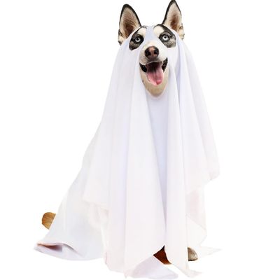 IntiMeg Déguisement de chien fantôme d'Halloween (blanc)