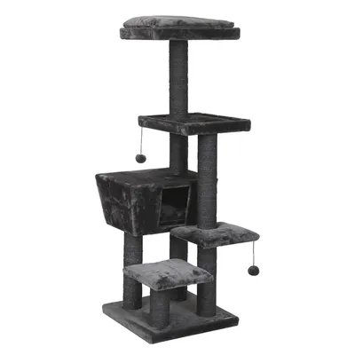 Ebi Arbre à chat North Dakota