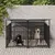 vidaXL Cage tout-en-un pour chien