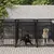 vidaXL Cage tout-en-un pour chien vidaXL Cage tout-en-un pour chien