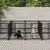 vidaXL Cage tout-en-un pour chien