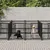vidaXL Cage tout-en-un pour chien