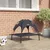 vidaXL Fauteuil d’extérieur pour chien
