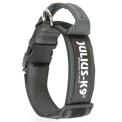 Julius K9 Collier pour chien