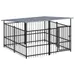 vidaXL Cage spacieuse pour chien