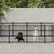 vidaXL Cage spacieuse pour chien vidaXL Cage spacieuse pour chien