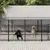 vidaXL Cage spacieuse pour chien vidaXL Cage spacieuse pour chien