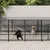 vidaXL Cage spacieuse pour chien vidaXL Cage spacieuse pour chien