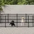 vidaXL Cage spacieuse pour chien vidaXL Cage spacieuse pour chien