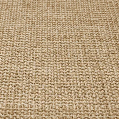 vidaXL Tapis en sisal pour chat