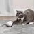 Zoomtopia Jouet interactif automatique pour chat