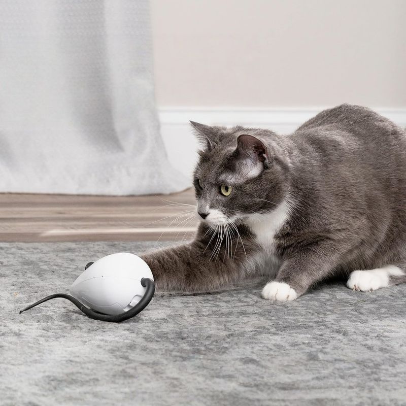 Zoomtopia Jouet interactif automatique pour chat