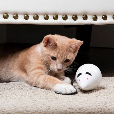 Zoomtopia Jouet interactif automatique pour chat