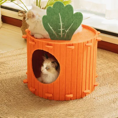Zoomtopia Casa para gatos con forma de zanahoria