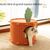 Zoomtopia Niche en forme de carotte pour chat