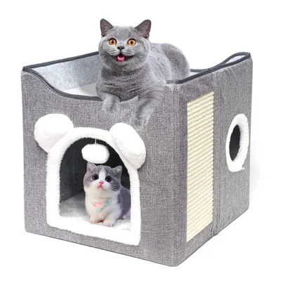 Zoomtopia Nido de gato