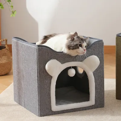 Zoomtopia Nido de gato