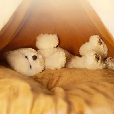 Zoomtopia Cama cueva para gatos