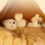 Zoomtopia Lit de grotte pour chat