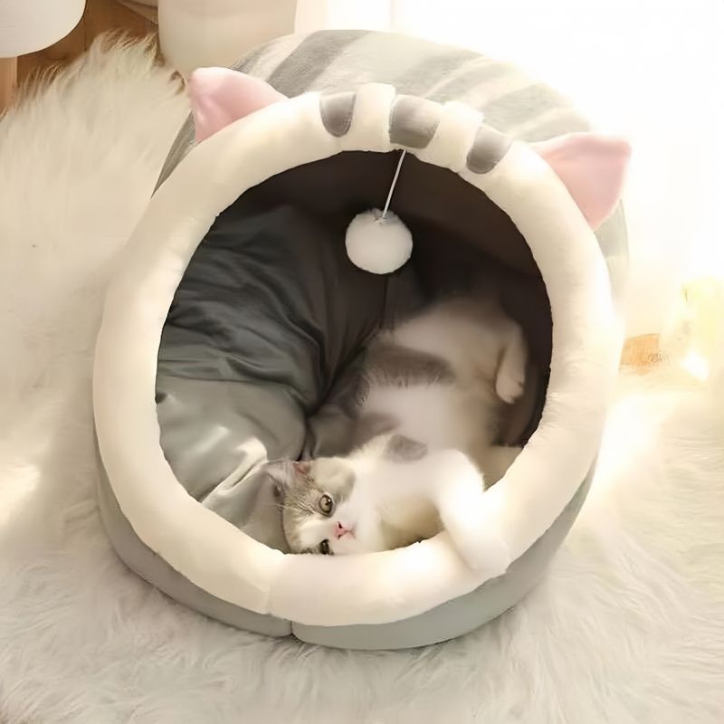Zoomtopia Maison pour chat